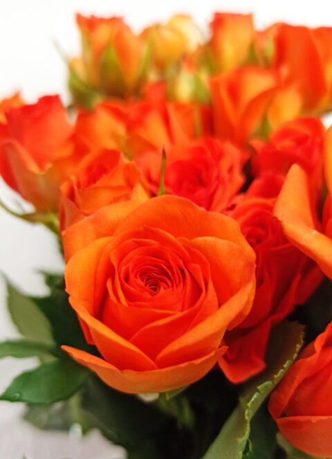 Spray Arancio - immagine 2