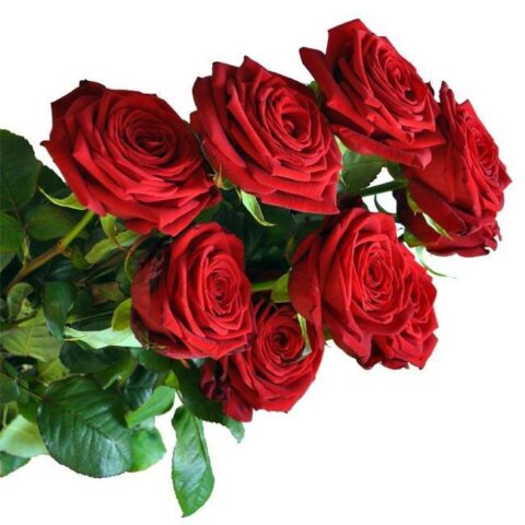 Spray Rossa