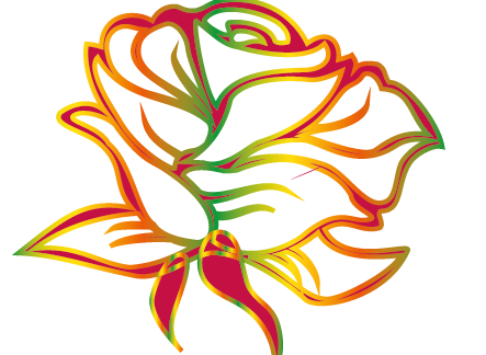 Categoria rose variegate-1